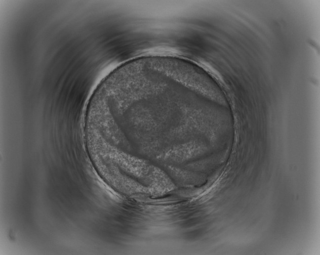 X0000097841248200804041436