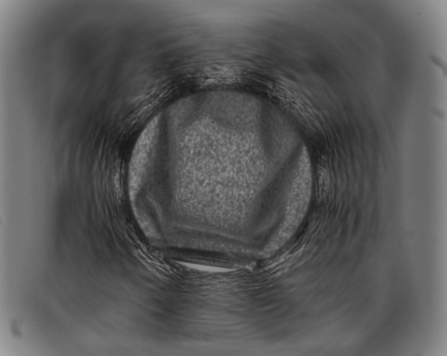 X0000097841250200804041435