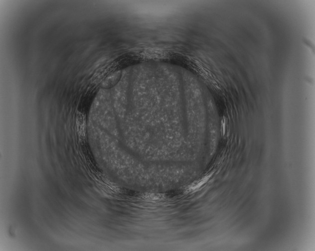 X0000097841251200804041435
