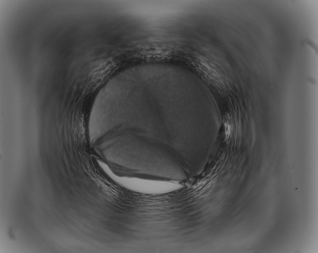 X0000097841252200804041435