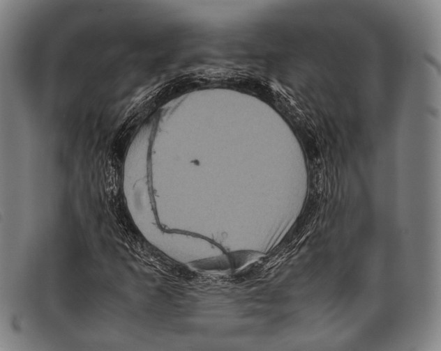 X0000097841253200804041435