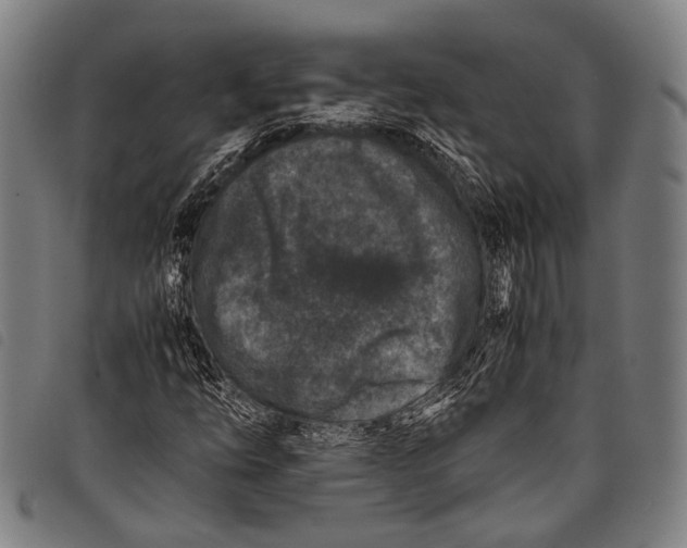 X0000097841254200804041435