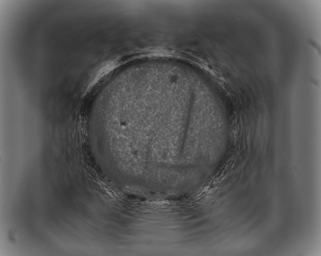 X0000097841255200804041435