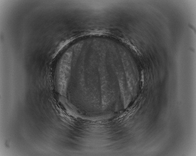 X0000097841256200804041435