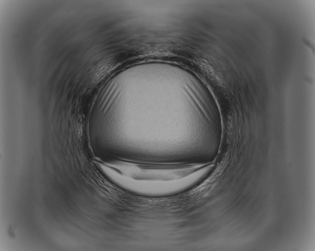 X0000097841257200804041435