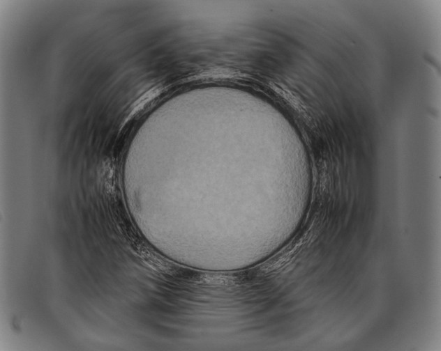 X0000097841258200804041435