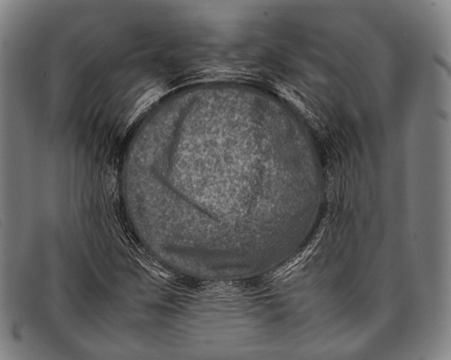 X0000097841259200804041435