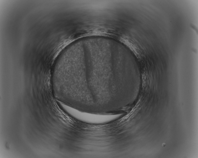 X0000097841260200804041435