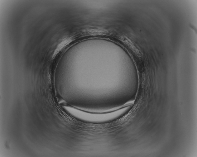 X0000097841261200804041435