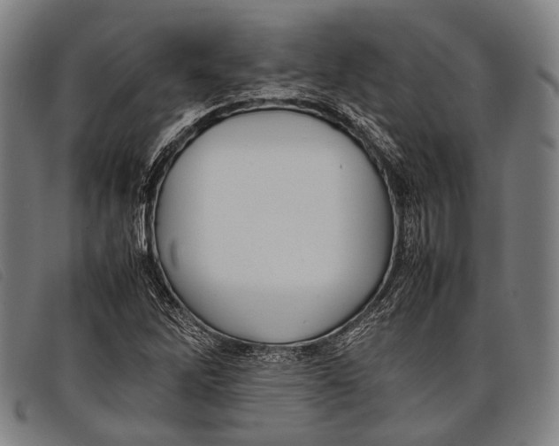 X0000097841262200804041435