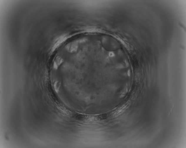 X0000097841263200804041435