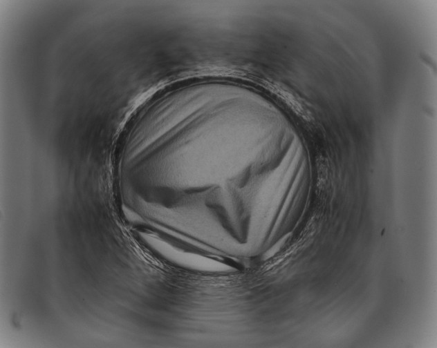 X0000097841264200804041435