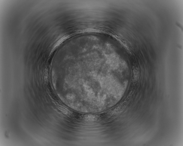 X0000097841266200804041435