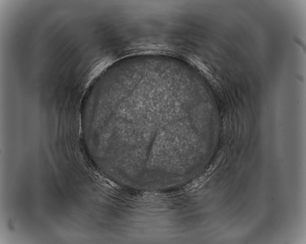 X0000097841267200804041435