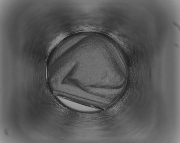 X0000097841269200804041435