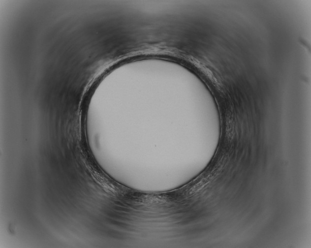X0000097841270200804041435