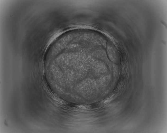 X0000097841271200804041435