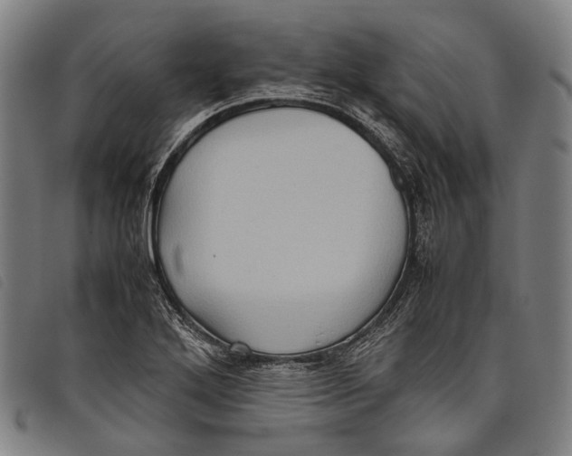 X0000097841272200804041435