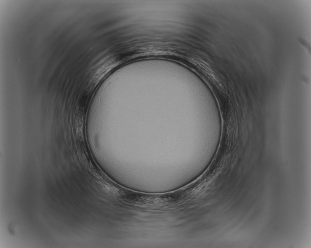 X0000097841273200804041435
