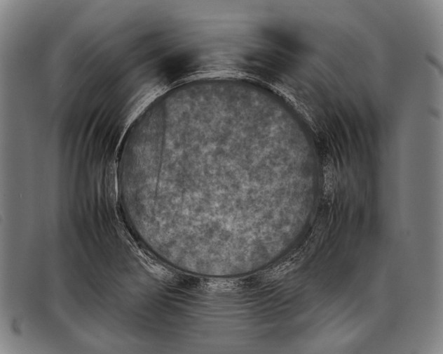 X0000097841274200804041435