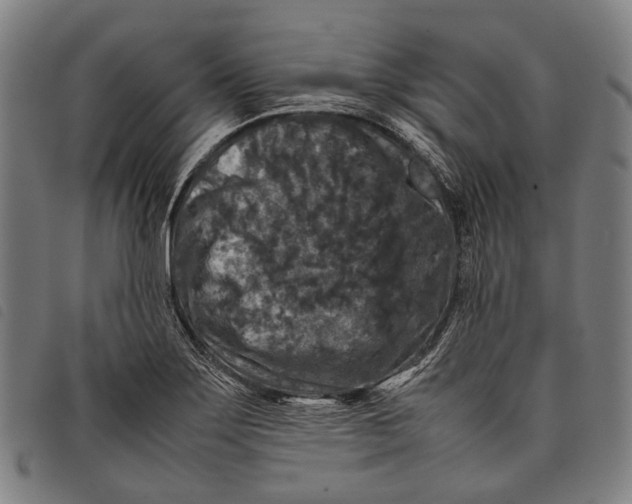 X0000097841275200804041435