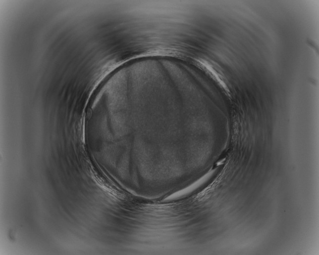 X0000097841276200804041435