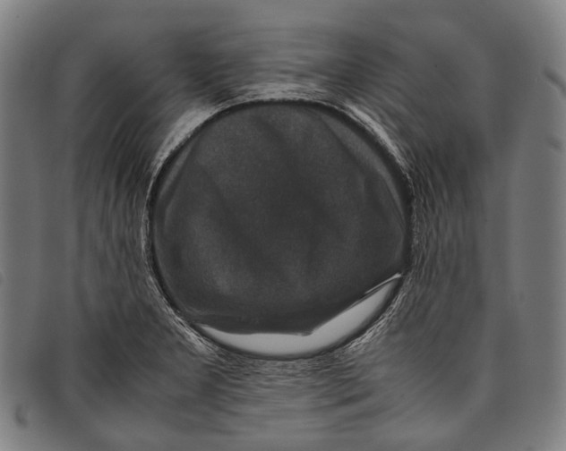 X0000097841277200804041435