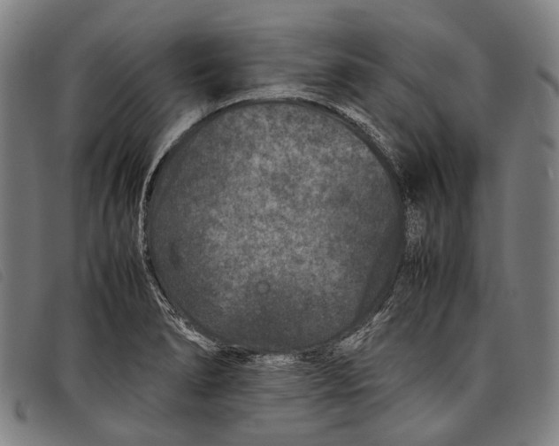 X0000097841278200804041435