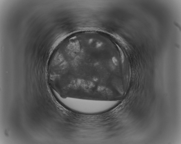 X0000097841279200804041435