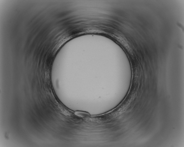 X0000097841281200804041435