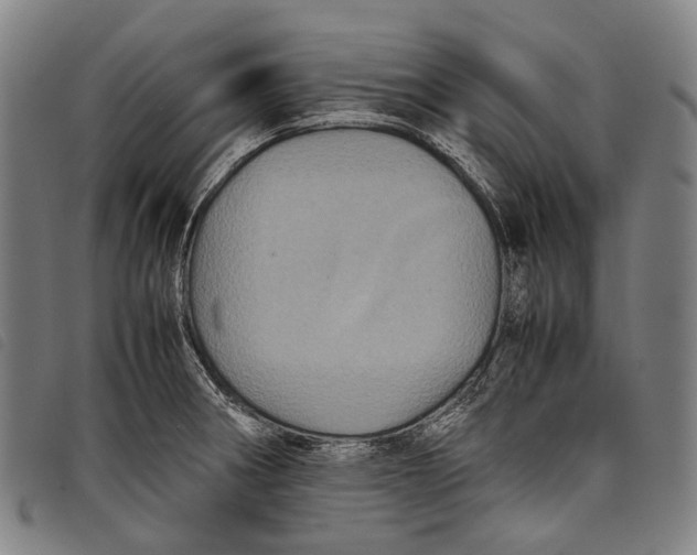 X0000097841282200804041435