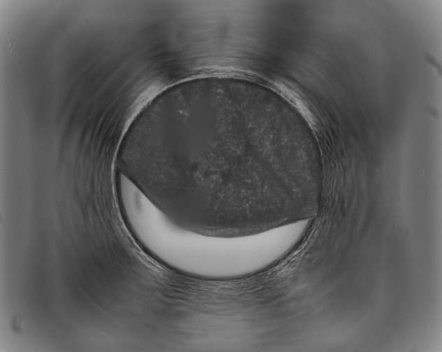 X0000097841283200804041435