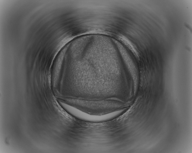 X0000097841284200804041435
