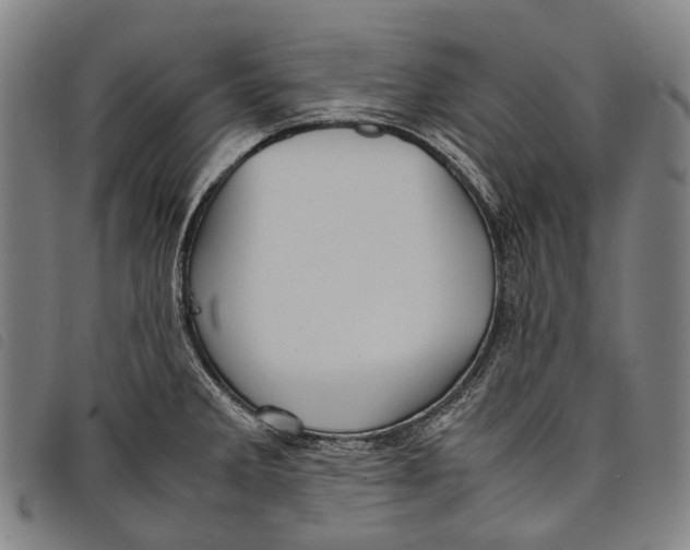 X0000097841285200804041435