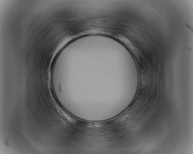 X0000097841286200804041435