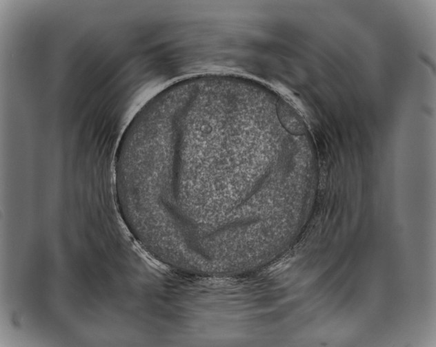 X0000097841287200804041435
