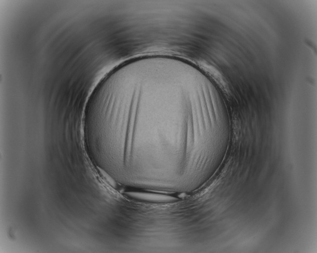 X0000097841288200804041435