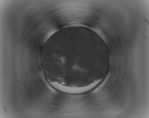X0000097841289200804041435