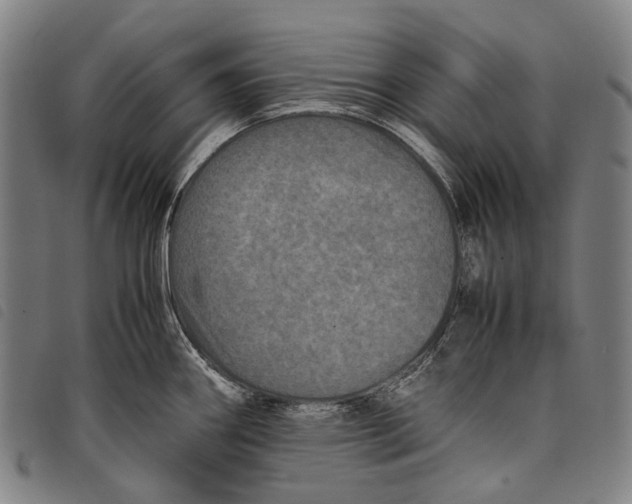 X0000097841290200804041435