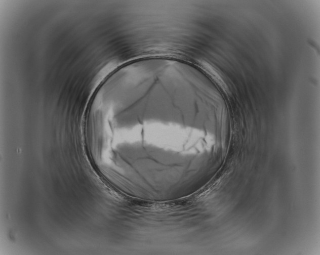 X0000097841291200804041435