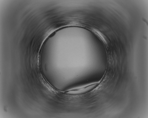 X0000097841292200804041435