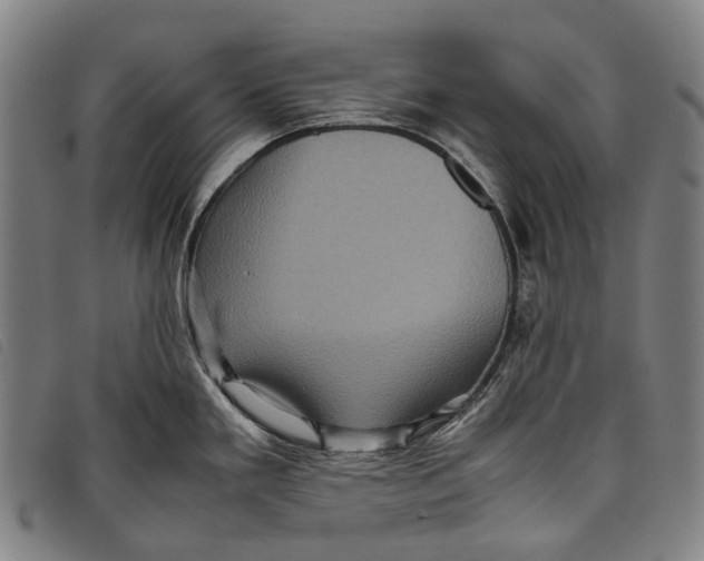 X0000097841293200804041435