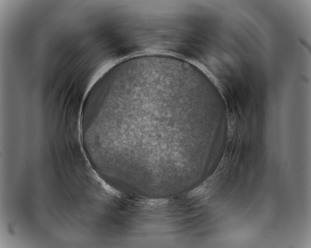X0000097841294200804041435