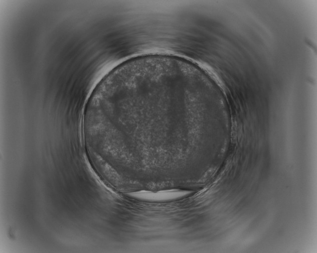X0000097841295200804041435