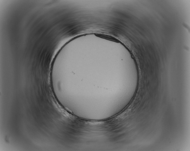 X0000097841296200804041435