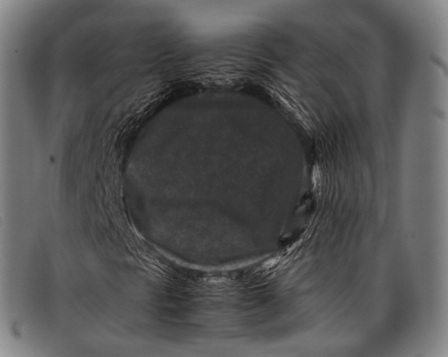 X0000097841297200804041434