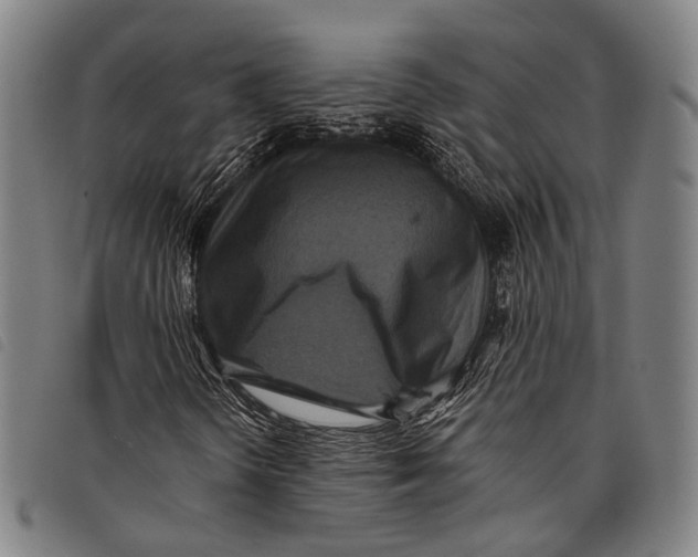 X0000097841298200804041434