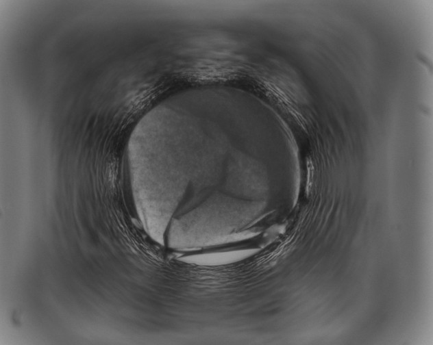 X0000097841300200804041434
