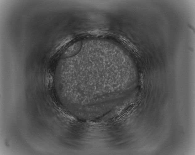 X0000097841302200804041434