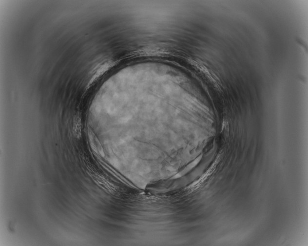 X0000097841306200804041434